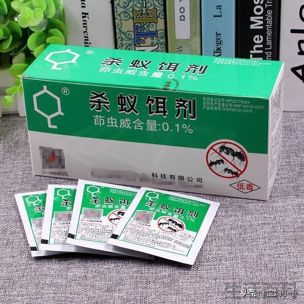 家里的蚂蚁怎么彻底消除