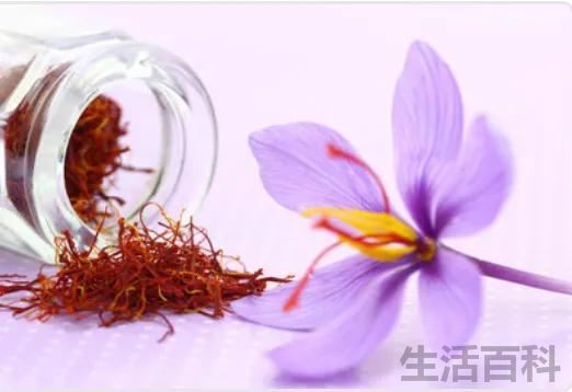 藏红花的功效和作用