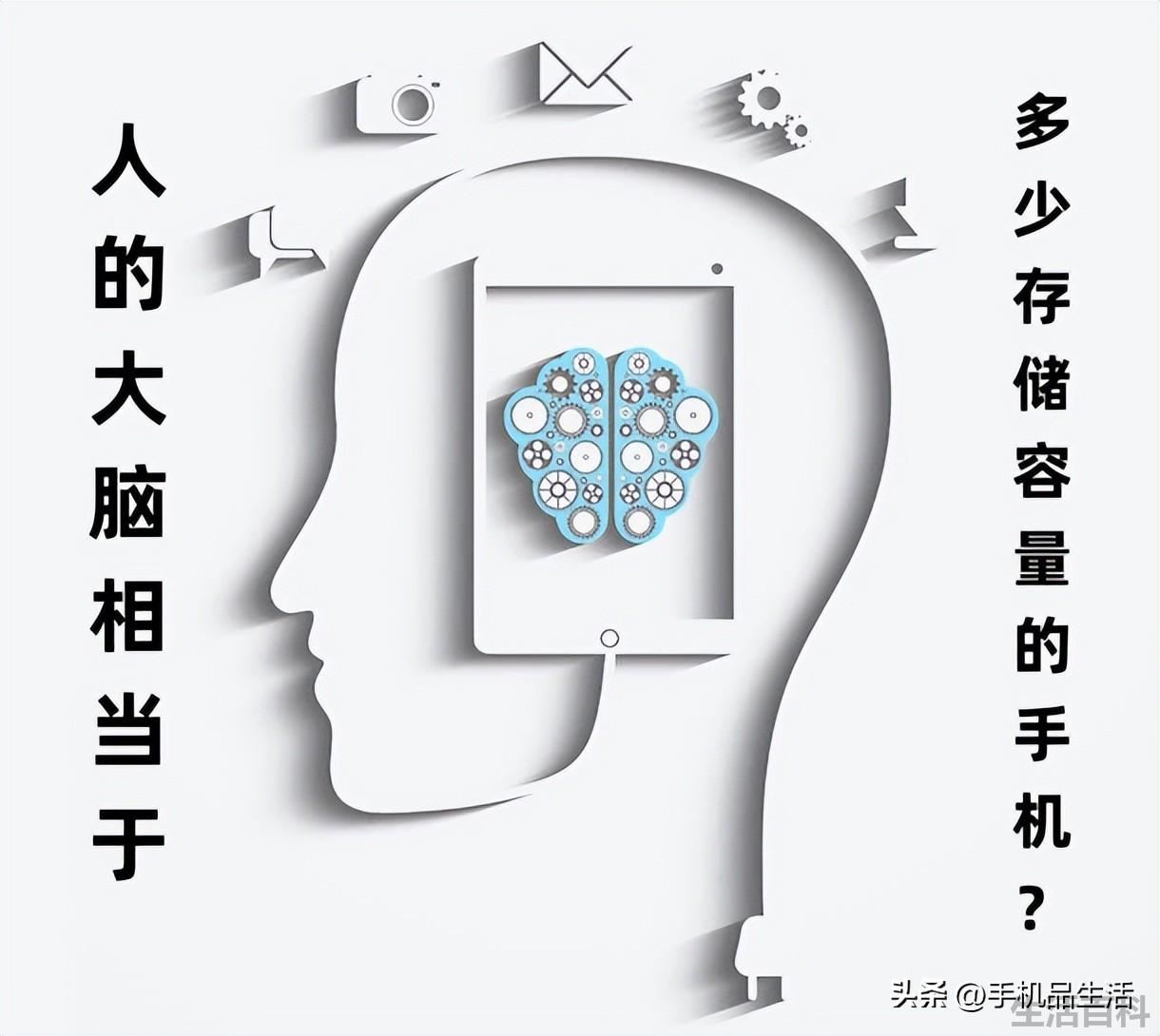 人的大脑相当于多少g内存