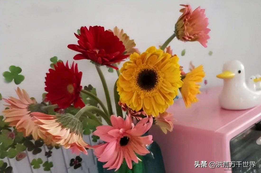 鲜花醒花怎么处理