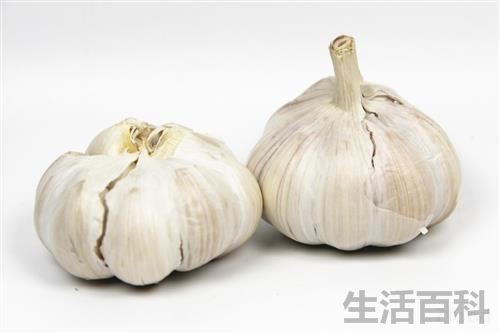 发芽的大蒜子能吃吗