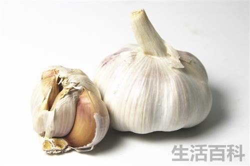 发芽的大蒜子能吃吗