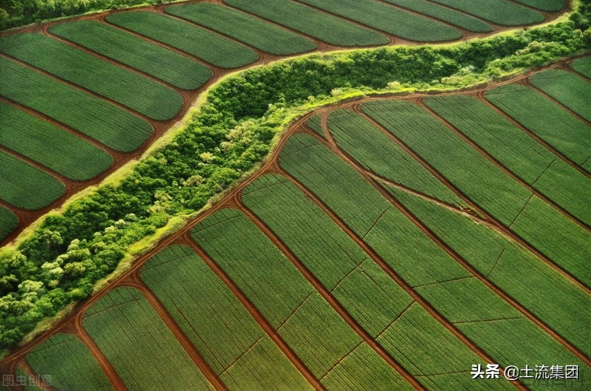 湖南省耕地类型以什么为主