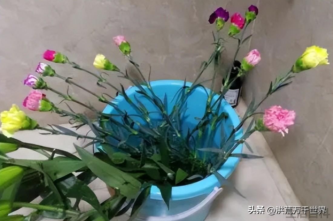 鲜花醒花怎么处理