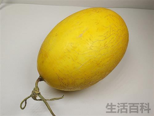 哈密瓜夏天吃好吗