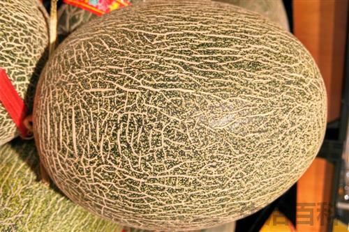 哈密瓜夏天吃好吗