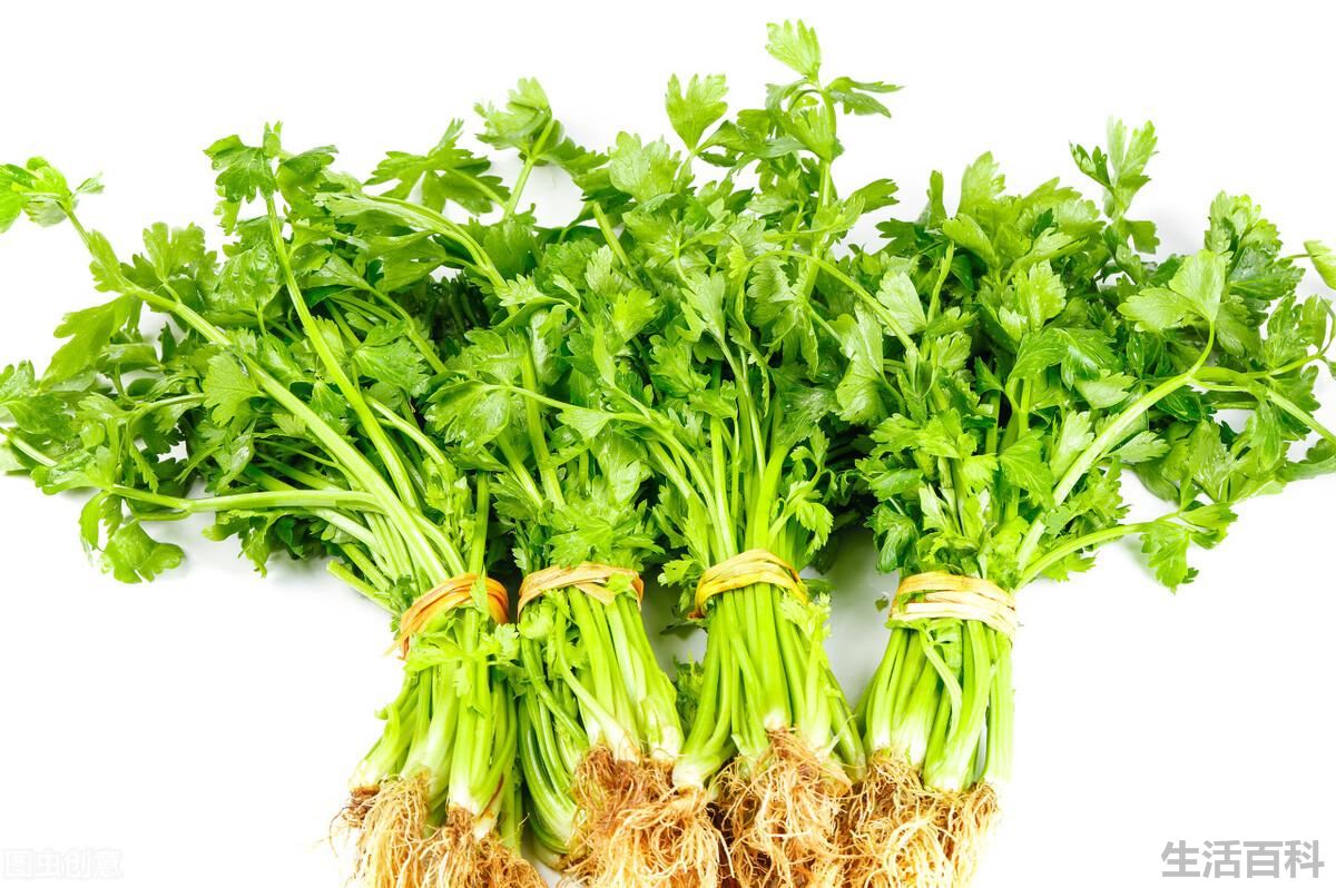芹菜需要焯水吗