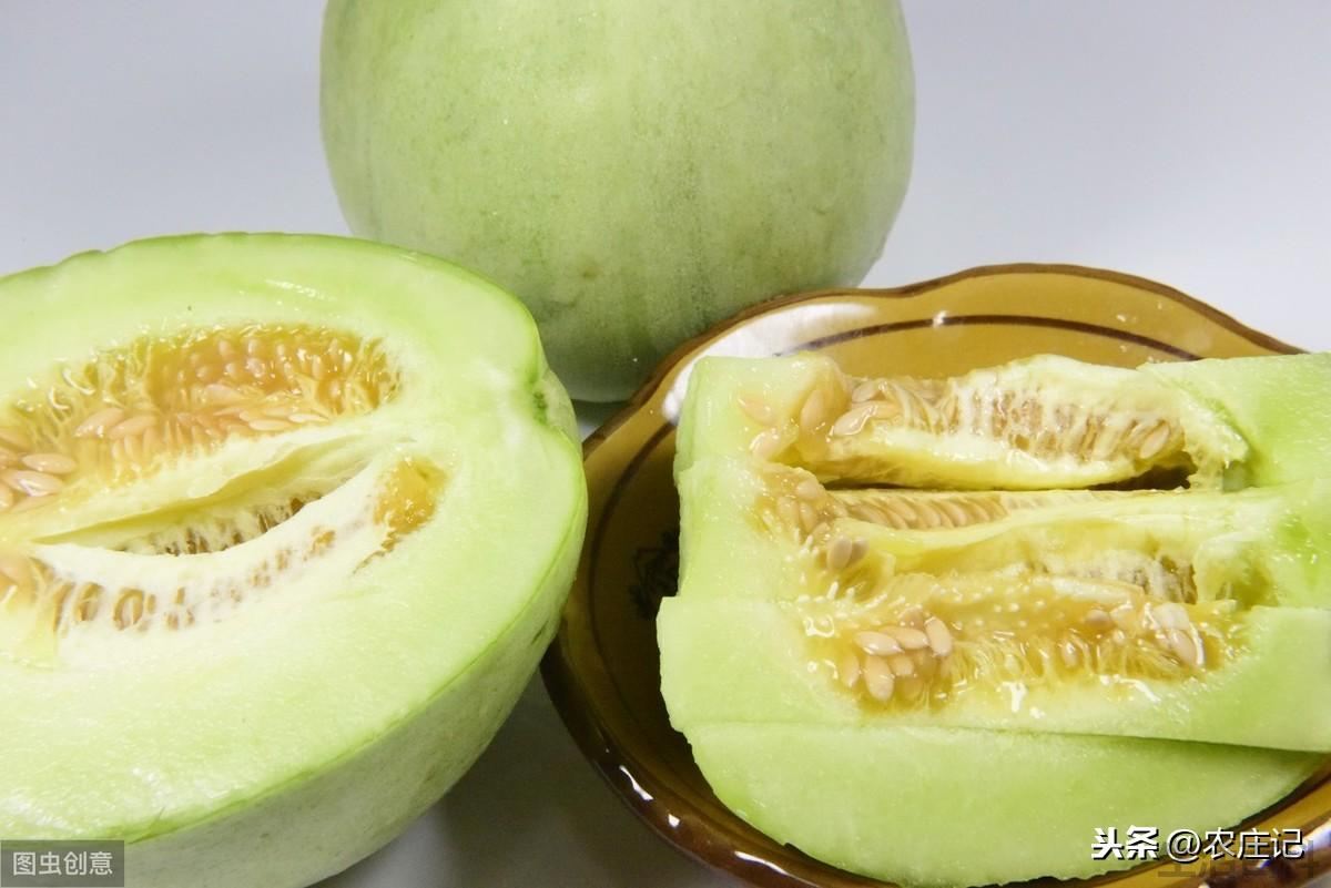 香瓜的田间管理有哪些要点