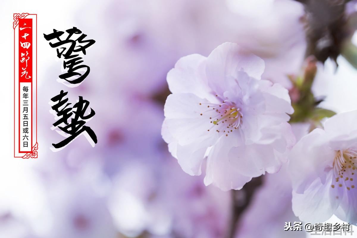 雷打惊蛰前下一句农谚