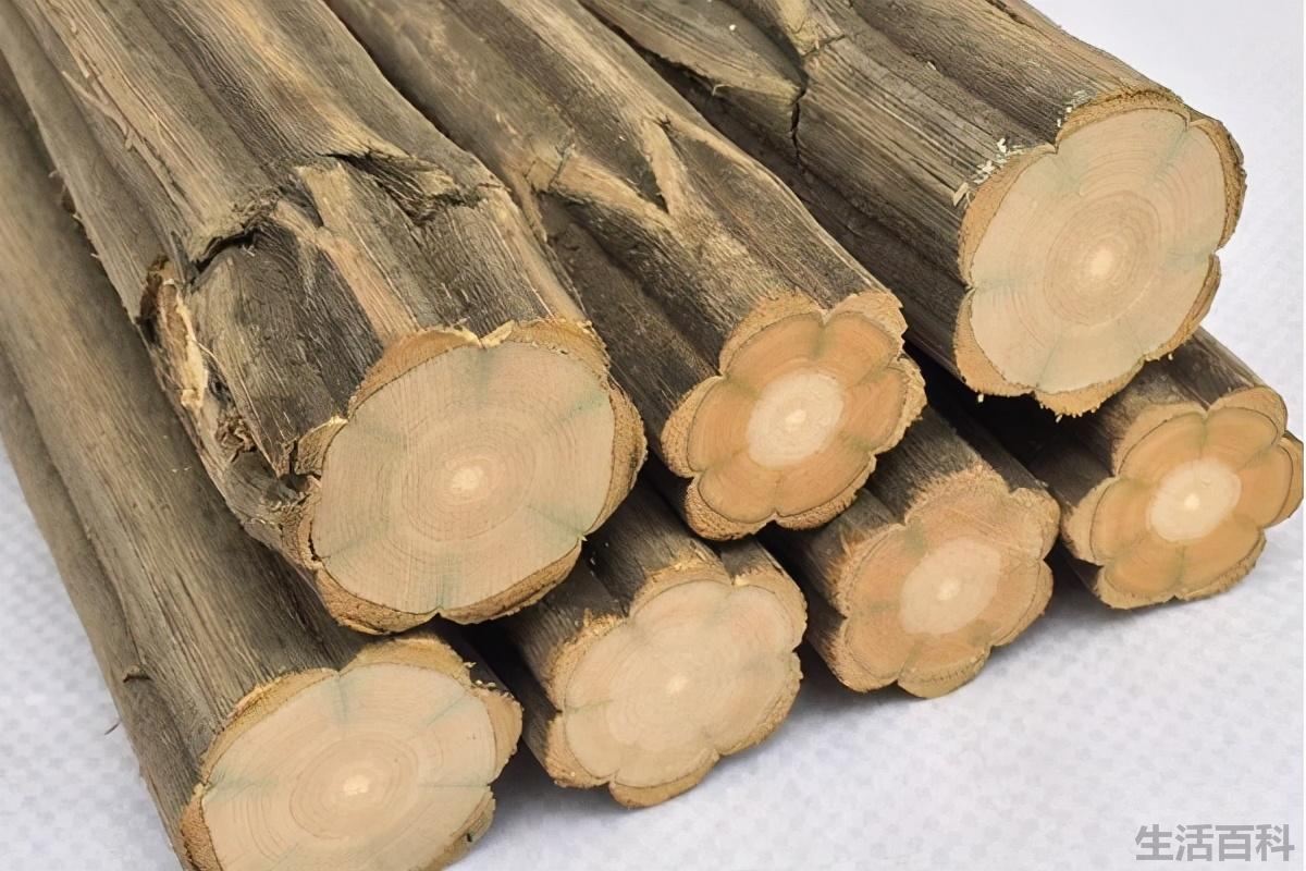 降龙木是什么树