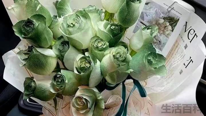 女性长辈过生日送什么花