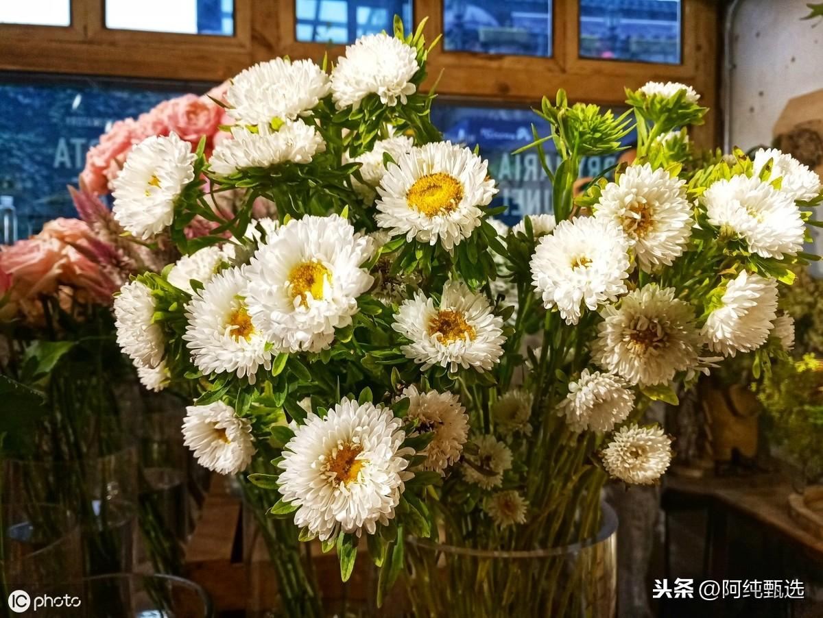 买回来的花怎么保存的时间长
