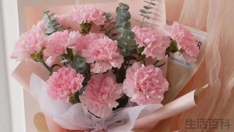 女性长辈过生日送什么花