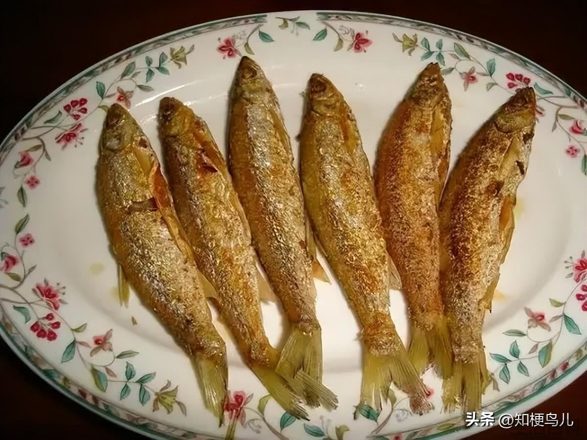 油饼食不食是什么意思