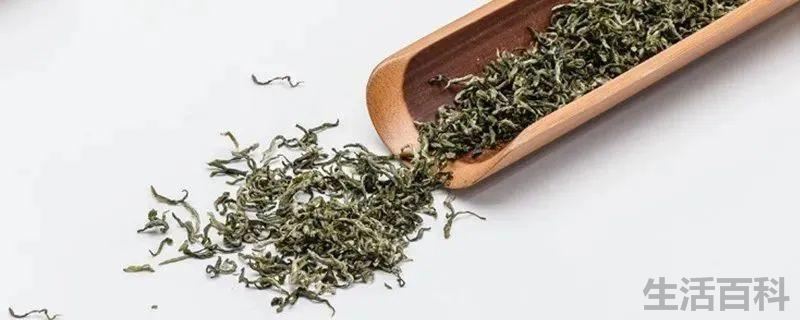 洞庭碧螺春是绿茶吗