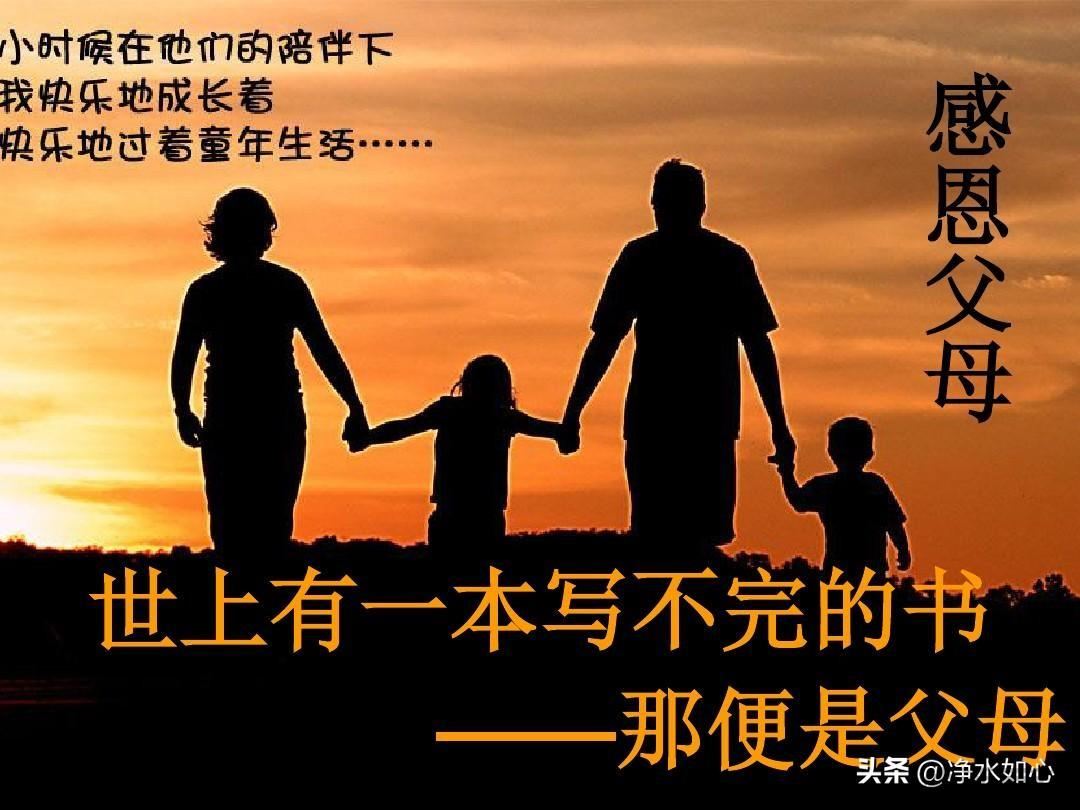 四六不懂是什么意思