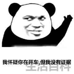 开车什么意思