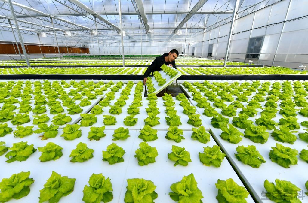 太阳直射南回归线是什么节气