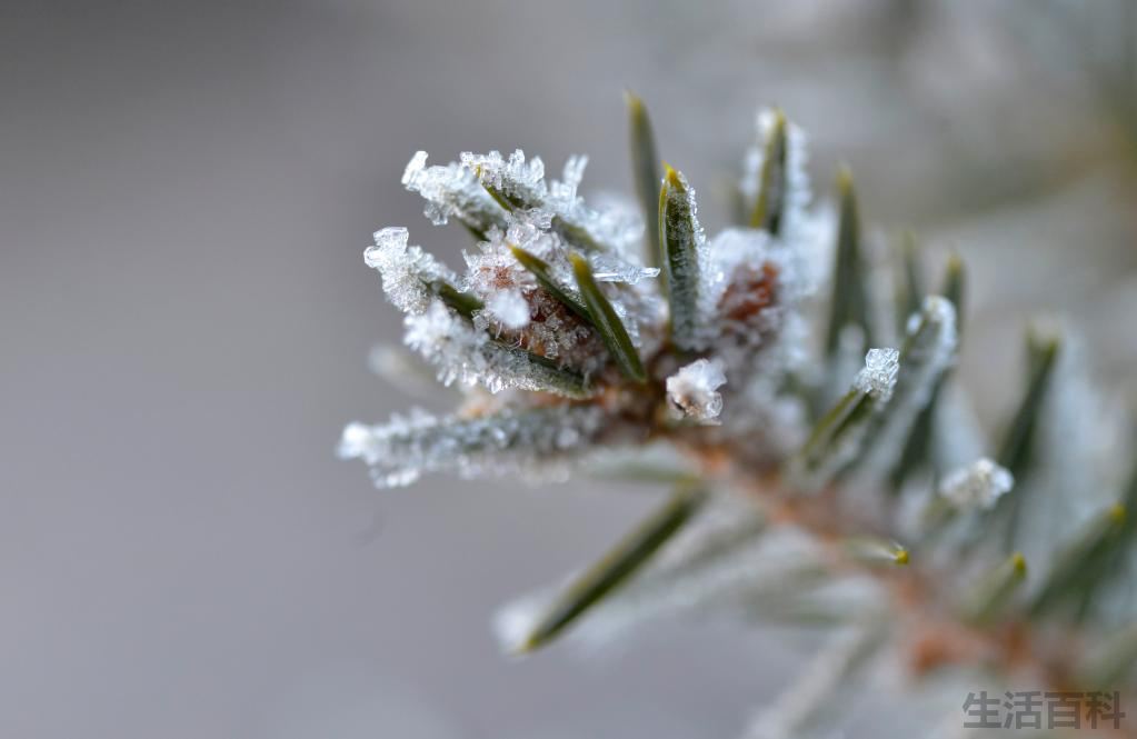 太阳直射南回归线是什么节气