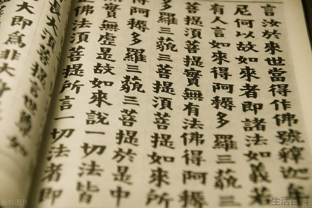 学书法从什么字体开始好