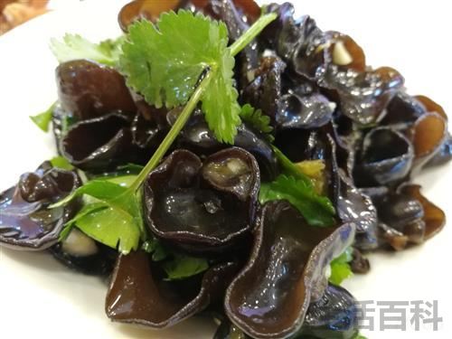 黑木耳要泡多久合适