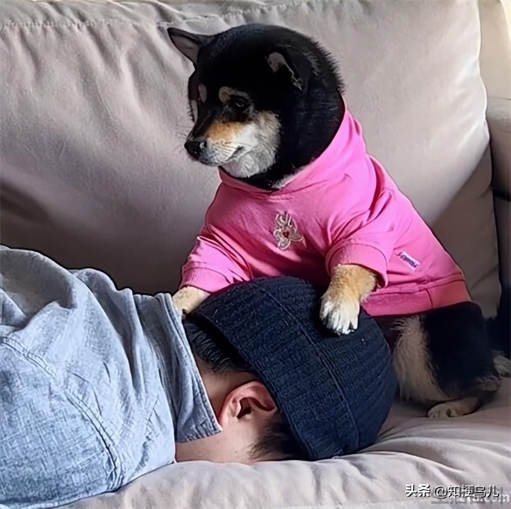 这次换我为你付出是什么意思
