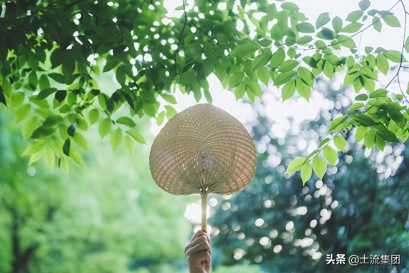 立夏要称体重是什么意思