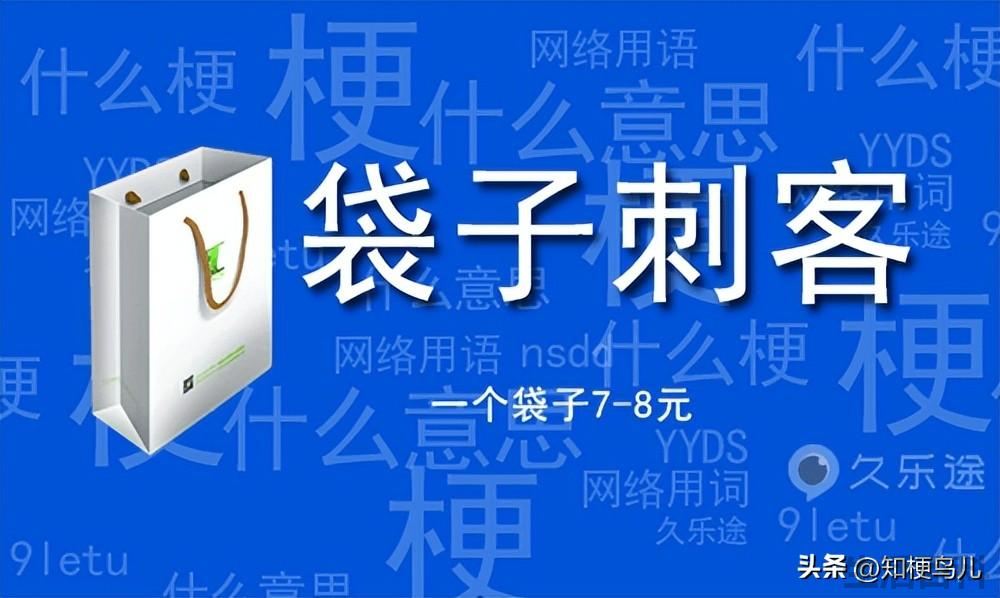 袋子刺客是什么意思