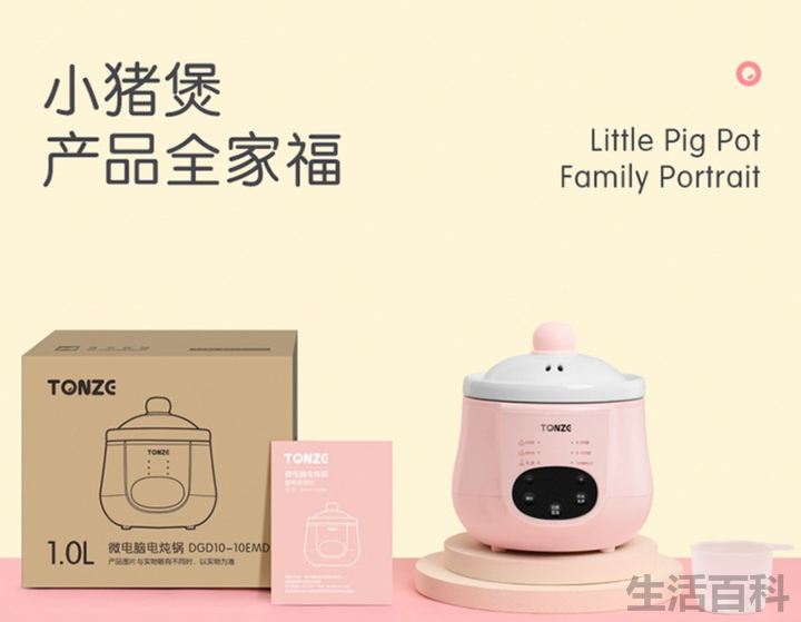 电炖锅什么牌子好