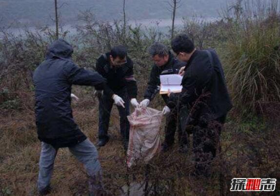 刁爱青尸体被煮熟切成2000多片