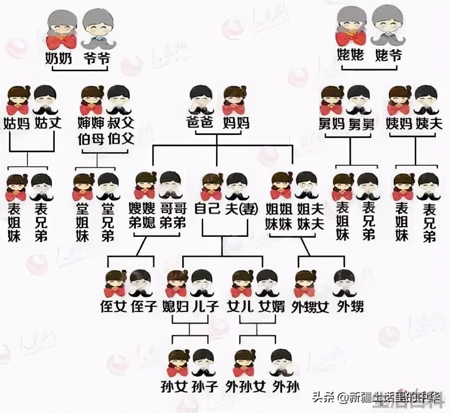 妈妈的哥哥叫什么