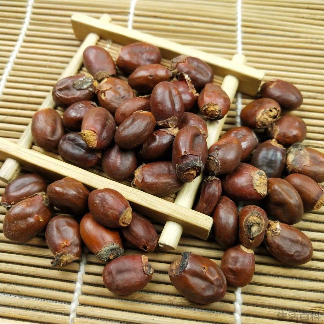 荔枝是几月份的水果