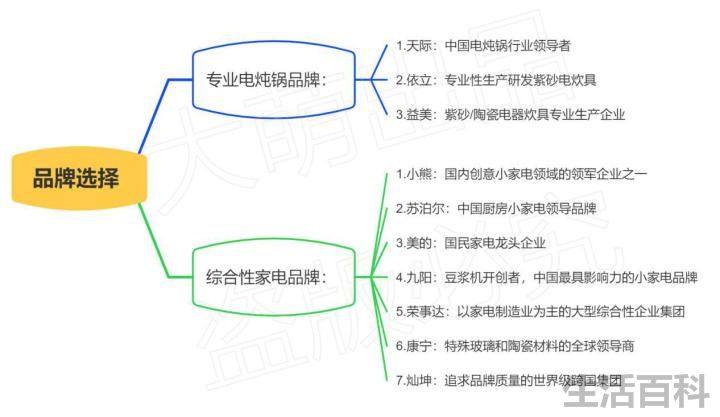 电炖锅什么牌子好