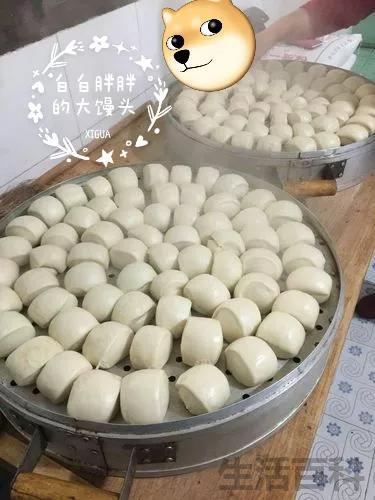 网络词6馍什么意思