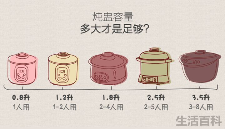 电炖锅什么牌子好