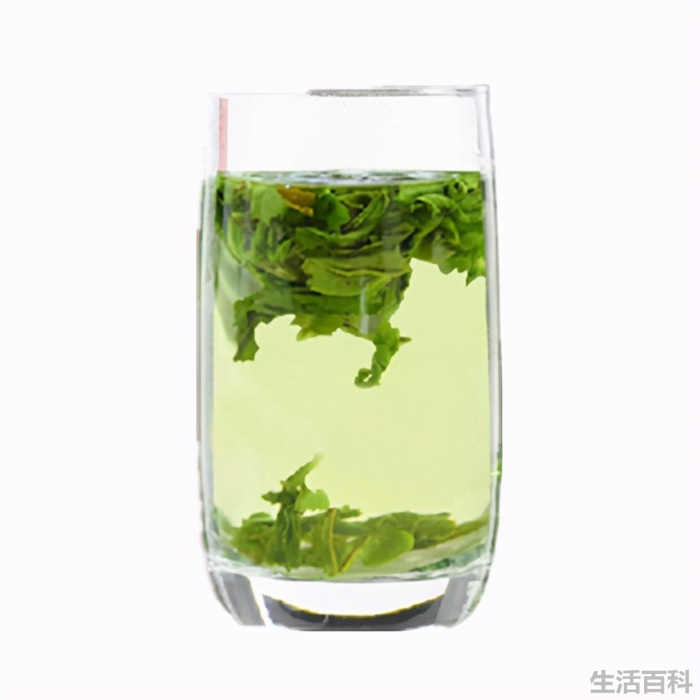 六安瓜片是什么茶