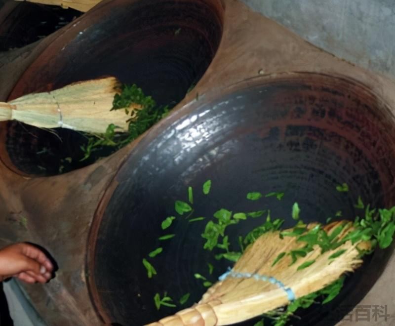 六安瓜片是什么茶