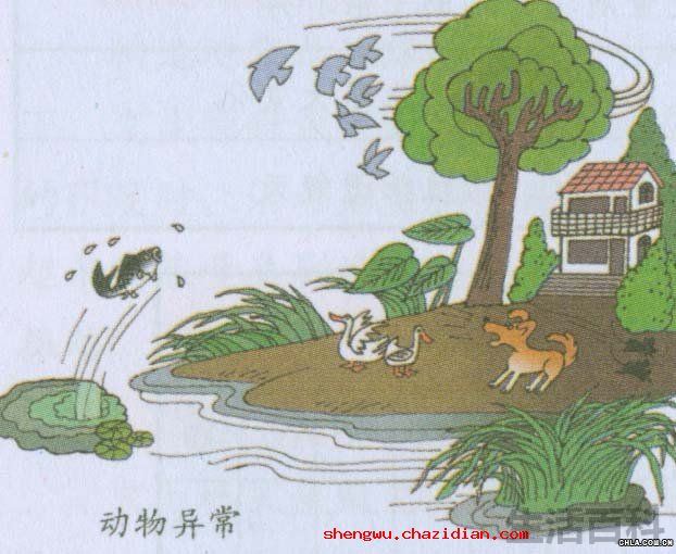 地震前兆有哪些