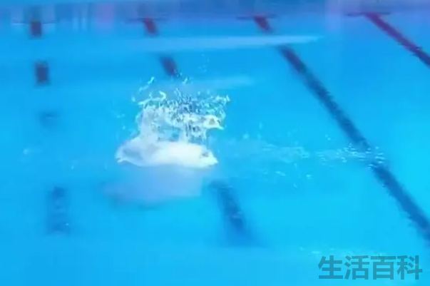 可怕又吓人