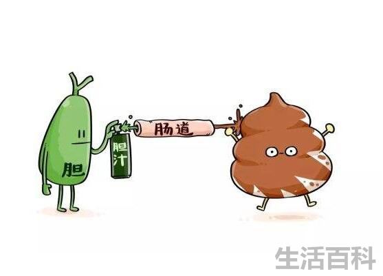 2000倍发生不少微生物
