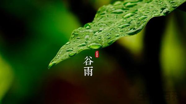 谷雨是什么意思谷雨一定会下雨吗
