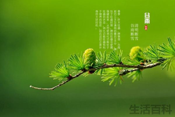 谷雨是什么意思谷雨一定会下雨吗