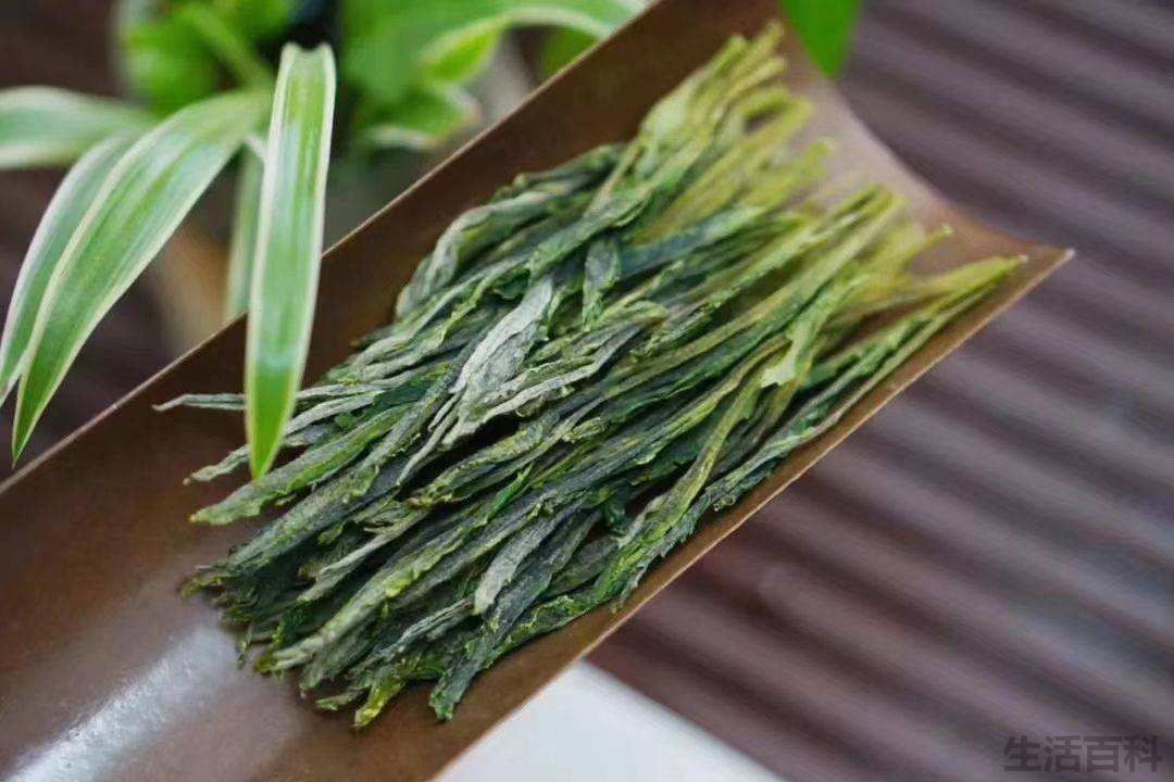 猴魁茶属于什么茶