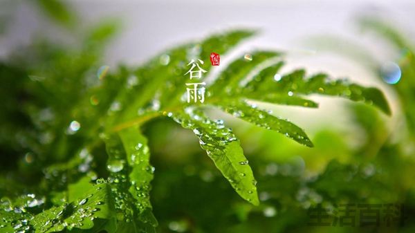 谷雨是什么意思谷雨一定会下雨吗