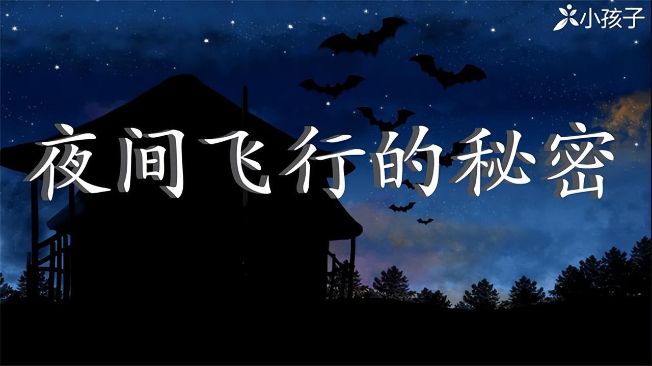 《夜间飞行的秘密》课文全解
