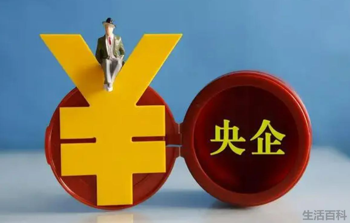 49家副部级央企名单