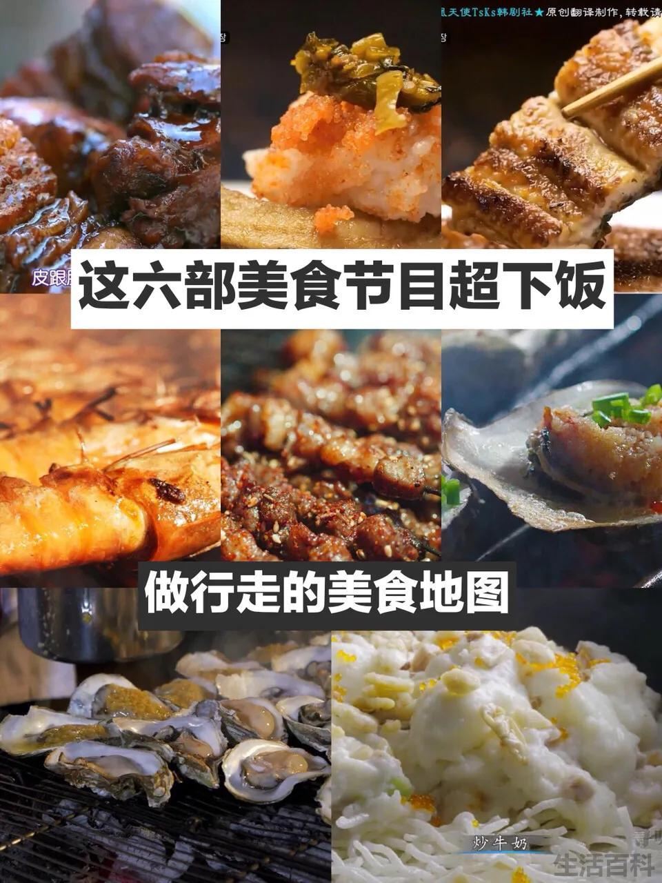 美食综艺节目排行榜