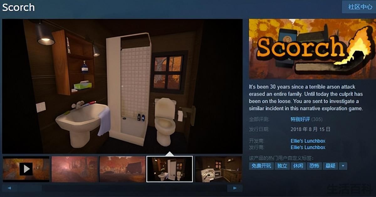 steam适合单人耐玩的游戏