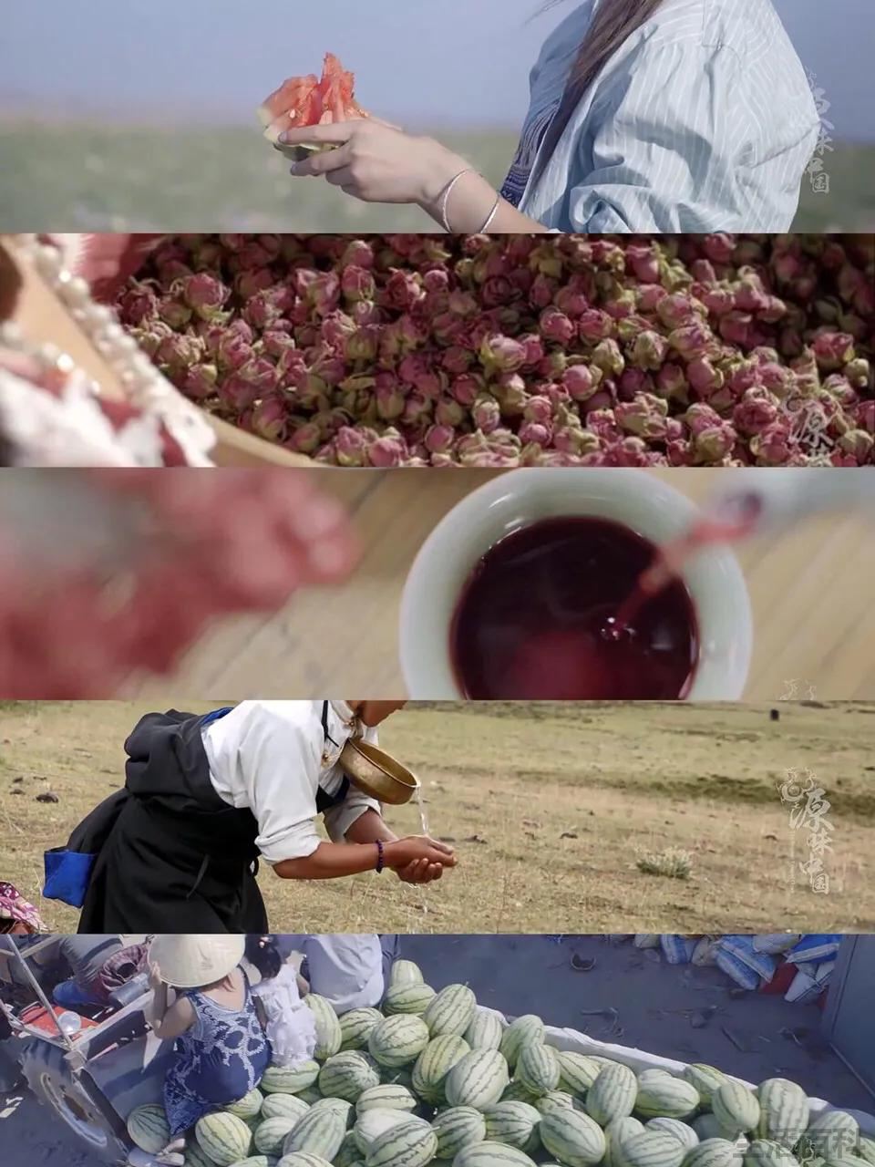 美食综艺节目排行榜