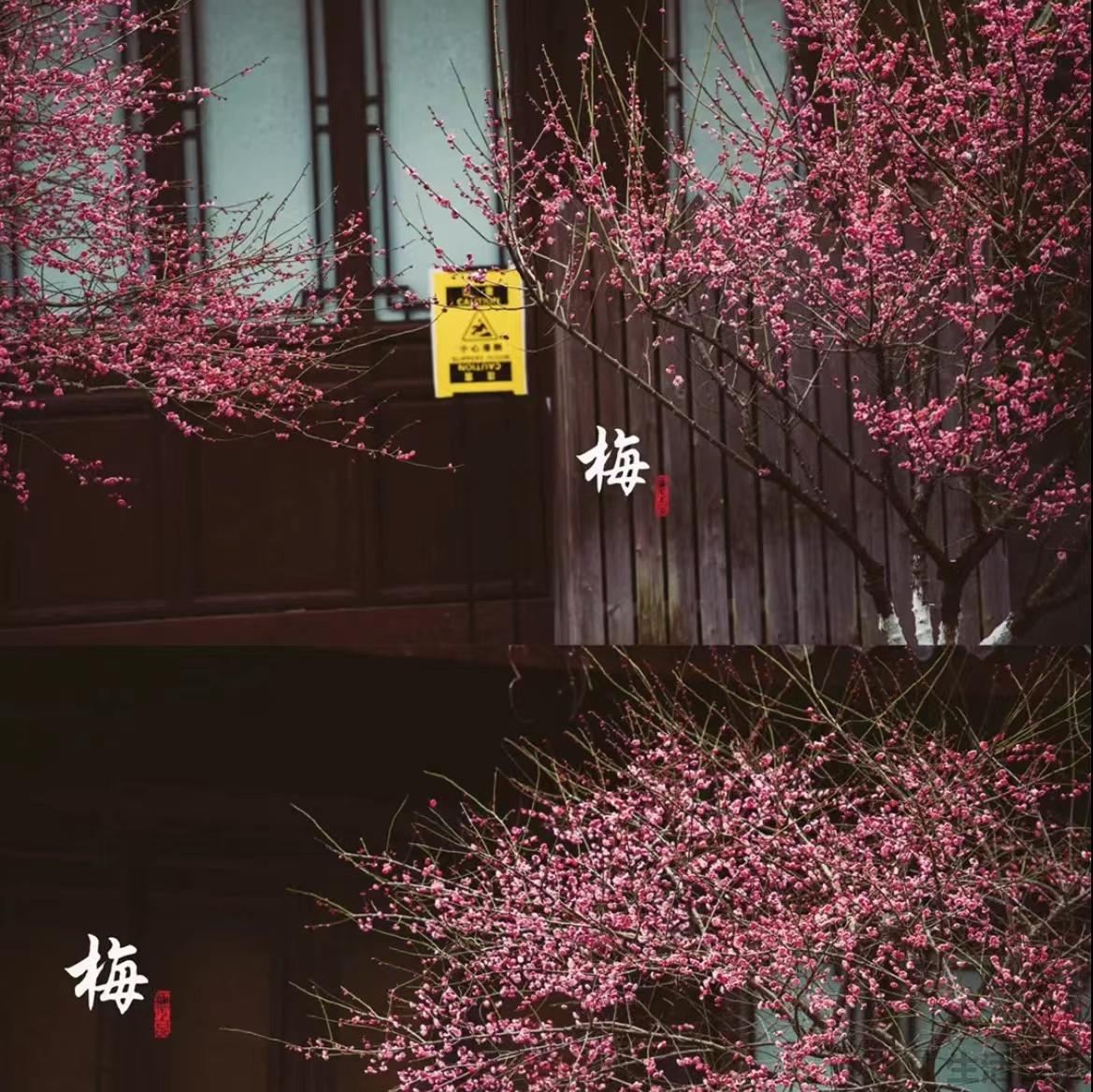 浙江古镇旅游景点排名前十